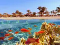 Marsa Alam: Jakie morze? Odkryj podwodny raj Morza Czerwonego