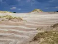 Krajobraz z ruchomymi wydmami i trawami, gdzie wiatr tworzy na piasku wzory przypominające rowy.