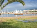 Palma na tle portu z żaglówkami i miastem. Kreta zaprasza na plaże, oferując ciekawe miejsca i noclegi.