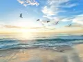 Zachód słońca nad oceanem, gdzie fale delikatnie rozbijają się o brzeg. Ptaki szybują na niebie, jakby szukały odpowiedzi na pytanie, jakie jest największe morze na świecie.