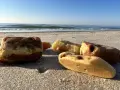 Kawałki bursztynu na piaszczystej plaży, z widokiem na spokojne morze i błękitne niebo.