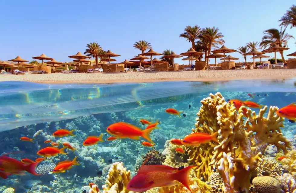 Marsa Alam: Jakie morze? Odkryj podwodny raj Morza Czerwonego