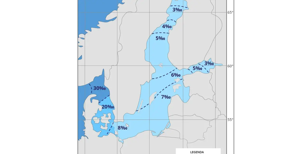 Mapa pokazuje, dlaczego Morze Bałtyckie jest słabo zasolone. Wody przybrzeżne mają niskie zasolenie, od 3‰ do 8‰, a w głębi morza dochodzi do 7‰.