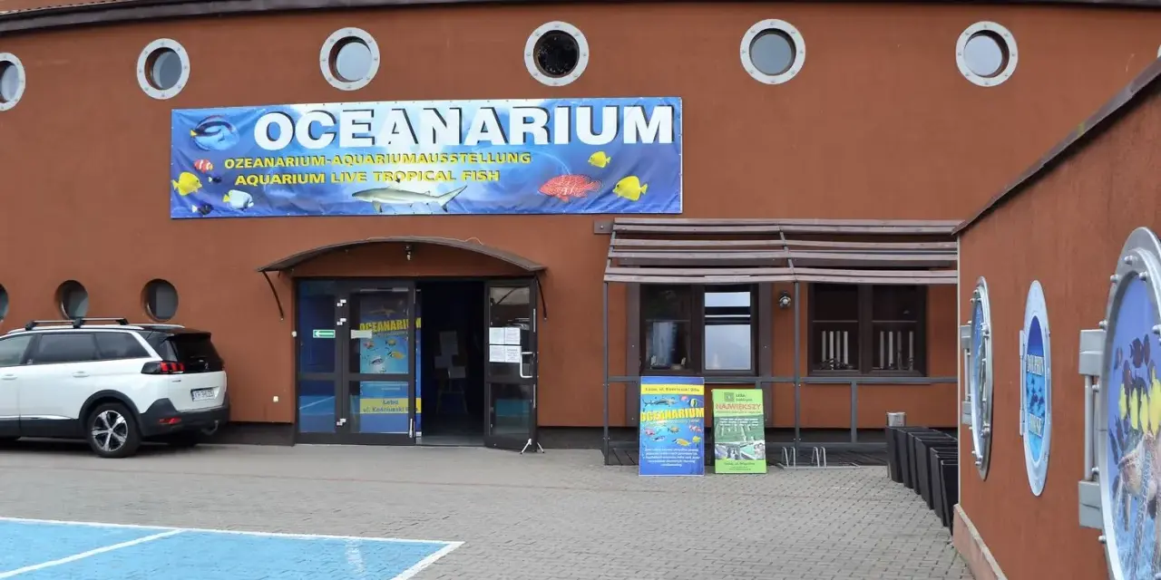 Łeba w deszczu? Odkryj najlepsze atrakcje i uratuj urlop!