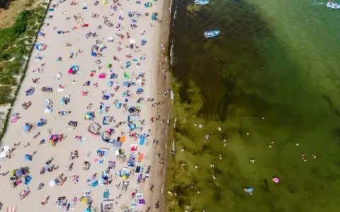 Bałtyk: Gdzie bezpiecznie kąpać się? Sprawdź zakazy GIS!