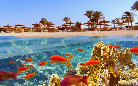 Marsa Alam: Jakie morze? Odkryj podwodny raj Morza Czerwonego