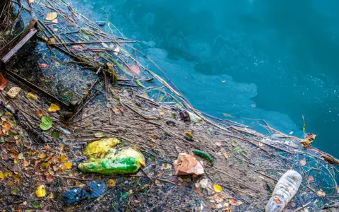 Plastikowe butelki, torby i śmieci unoszą się na wodzie, ilustrując przyczyny zanieczyszczenia Bałtyku.