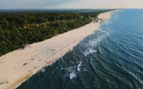Widok z lotu ptaka na piaszczystą plażę, las i morze w Jastrzębiej Górze.