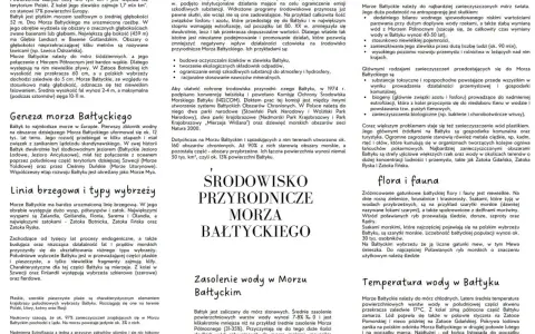 Powierzchnia Morza Bałtyckiego jest zanieczyszczona.