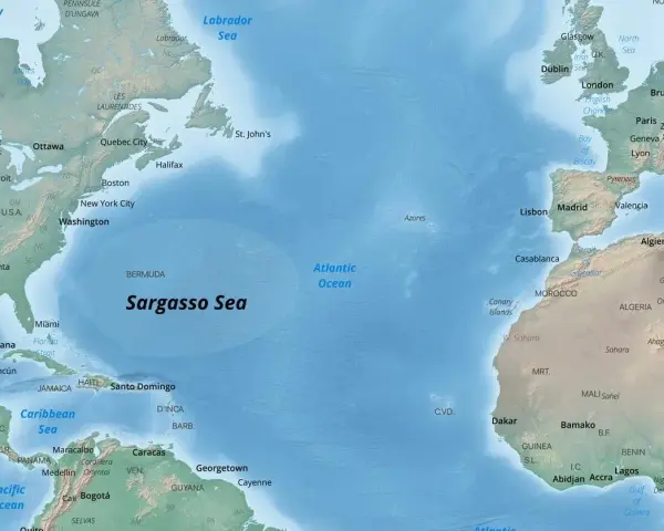 Mapa Atlantyku z zaznaczonym Morzem Sargassowym, między Ameryką Północną, Europą i Afryką.