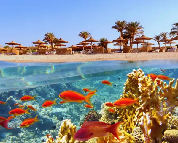 Marsa Alam: Jakie morze? Odkryj podwodny raj Morza Czerwonego