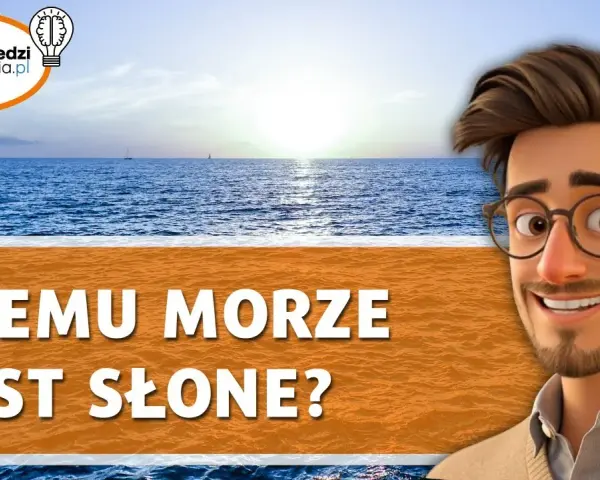 Morze Czerwone: Dlaczego jest tak słone? Poznaj naukowe przyczyny