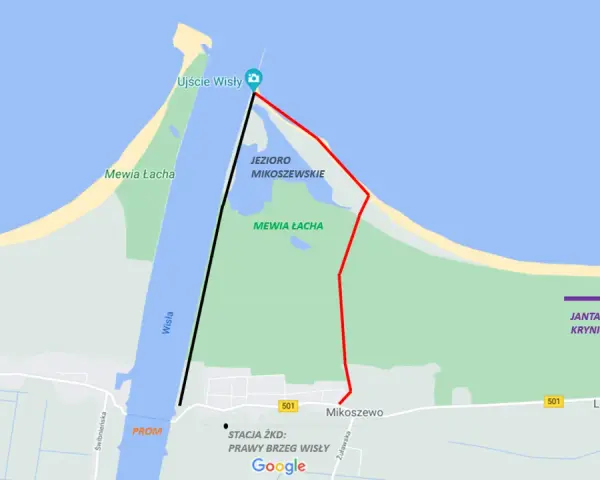 Ujście Wisły: Gdzie Bałtyk spotyka foki? Przewodnik po Mewiej Łasze