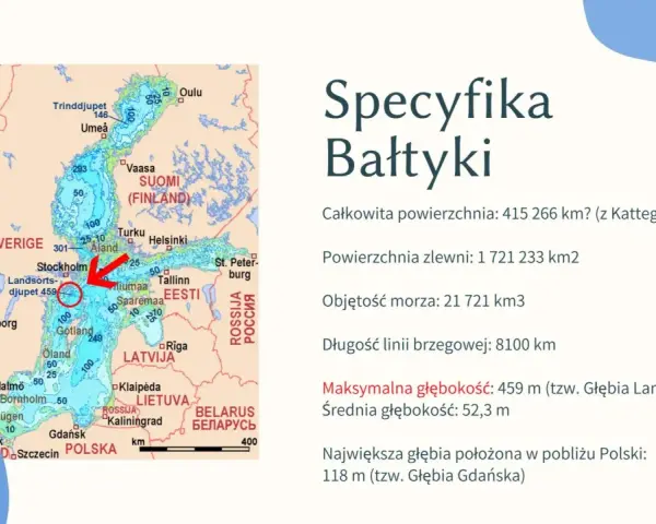 Bałtyk jest płytki? Głębokość, przyczyny i wpływ na ekosystem