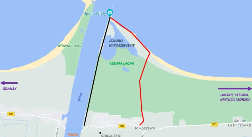 Ujście Wisły: Gdzie Bałtyk spotyka foki? Przewodnik po Mewiej Łasze