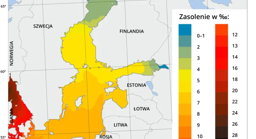 Mapa Bałtyku z kolorami wskazującymi zasolenie wody, od niskiego (niebieski) do wysokiego (czarny).