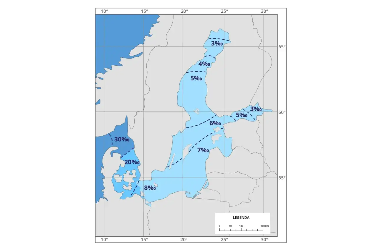 Mapa pokazuje, dlaczego Morze Bałtyckie jest słabo zasolone. Wody przybrzeżne mają niskie zasolenie (3-8‰), w przeciwieństwie do wód przy Danii (20-30‰).