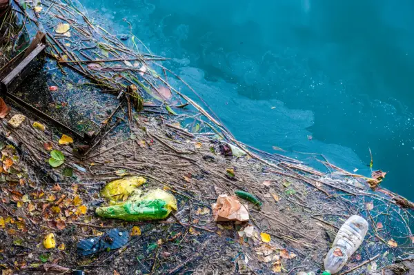 Plastikowe butelki, torby i śmieci unoszą się na wodzie, ilustrując przyczyny zanieczyszczenia Bałtyku.